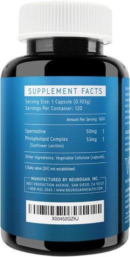 Neurogan Spermidine Pro Supplements Capsules - Enhanced Absorption For Cellular Regeneration, Energy, Healthy Aging & Focus - Spermidine Supplements For Women & Men, Take 1 Daily (50Mg, 120 Capsules)