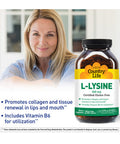 Country Life L-Lysine 500Mg With B-6 Supports Immune Health Promotes Collagen Renewal In Lips And Mouth 250 Vegan Capsules Certified Gluten Free Certified Vegan