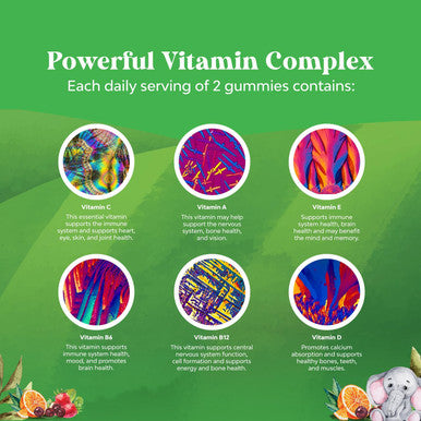 Natures Craft Delicious Daily Kids Multivitamin Gummies - Multivitamin for Kids Immunity Support Gummies with Vitamins A C D3 E B Zinc - Kids Vitamins Gummy Multivitamin Formula - Halal Gelatin and Gluten
