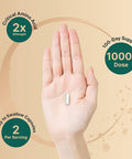 LTyrosine Capsules 1000mg Per Serving 200 Capsules Support Memory Cognitive Health and Mental Alertness Premium Tyrosine Brain Health Supplement No GMOs