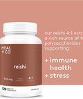 HEAL + CO. Reishi | High Potency 4:1 extract, 4000 mg per serving |Stress + Immunity | 120 x 500 mg Capsules