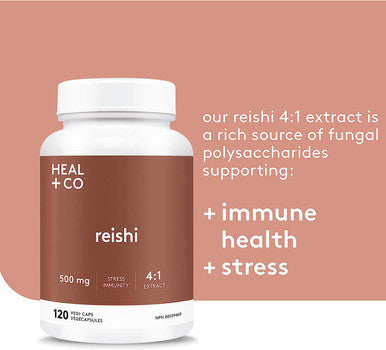 HEAL + CO. Reishi | High Potency 4:1 extract, 4000 mg per serving |Stress + Immunity | 120 x 500 mg Capsules