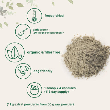 Micro Ingredients Organic Turkey Tail Mushroom Powder (50:1 Extract) 8 Ounce | ze Dried with Active Polysaccharides Supports Immune Response & Cellular Level Pet Friendly