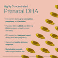 True Grace Prenatal DHA - 60 Softgels - 1400mg of DHA & EPA - for Pre-Conception Pregnancy & Lactation - Wild Caught & Sustainably Sourced - Gluten - 30 Day Supply