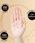 Pack of 2 Elemental Magnesium 500mg Per Serving as Magnesium Citrate 180 Capsules Each Powerfully Supports Energy Metabolism Muscles Heart Bone Health NonGMO and Made in USA
