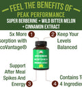 Ultra High Strength 4-In-1 Super Berberine Patented Glucovantage + Wild Bitter Melon + Cinnamon Extract + Chromium Picolinate