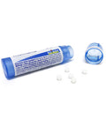 Boiron Ruta Graveolens 6c Homeopathic Medicine for Eye Strain - Pack of 3 (240 Pellets)
