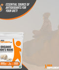 Bulksupplements.Com Organic Lions Mane Mushroom Powder - Lions Mane Supplement Powder, Lion'S Mane Powder - Organic & Gluten Free, 1000Mg Per Serving, 1Kg (2.2 Lbs) (Pack Of 1)