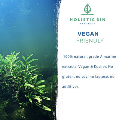 Holistic Bin Marine Phytoplankton Powder ly Grown in Nordic Seawater | Vegan Omega 3 Supplement | Rich in Amino s, Chlorophyll, Vitamins, & Trace Minerals (50g)