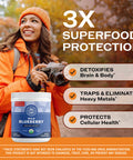 Vimergy USDA Organic Wild Blueberry Supplement Powder 62 Servings Natural Wild Blueberries Fruit Powder for Smoothies Juices Fruit Bowls Low Bush Non GMO Gluten Free Vegan Paleo (250g)