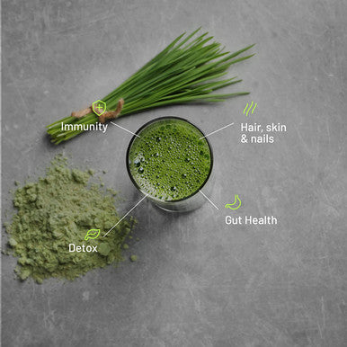 Super Greens Supplement Powder with Collagen Peptides 26 Superfoods Vitamins Grass Fed NonGMO Greens Superfood Powder for Hair Skin Nails Joint Support 30 Servings
