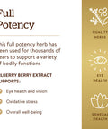 Solgar Standardized Full Potency Bilberry Berry Extract Vegetable Capsules 60 Count