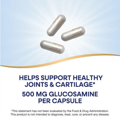 Nature'S Way Gs-500 Glucosamine Sulfate Stable Form Helps Support Healthy Joints & Cartilage 500 Mg Glucosamine Per Capsule 240 Capsules (Packaging May Vary)