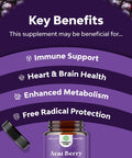 Natures Craft Acai Berry Antioxidant Support Weight Loss Supplement for Women and Men - Vitamins Minerals Antioxidant Formula Supports Immune System and Boost Energy Cognitive Health 60 Capsules