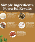 Natures Craft Advanced Lion's Mane Mushroom Supplement - Lions Mane Supplement Capsules with 5X Fruiting Body Mushroom Complex with Chaga Maitake Shiitake and Reishi - Brain Booster Nootropic Supplement (60 Caps)