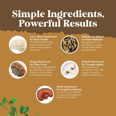 Natures Craft Advanced Lion's Mane Mushroom Supplement - Lions Mane Supplement Capsules with 5X Fruiting Body Mushroom Complex with Chaga Maitake Shiitake and Reishi - Brain Booster Nootropic Supplement (60 Caps)