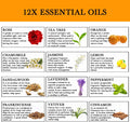 Top 12 Essential Oils Set, 100% Pure Natural Aromatherapy Essential Oil Gift Set(Rose, Jasmine, Vetiver, Chamomile, Sandalwood,Tea Tree, Frankincense, Cinnamon, Lavender, Lenmon, Orange, Peppermint)