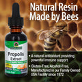Nature'S Answer Propolis Resin Extract 1 Fluid Ounce - Alcohol Immune Support Gluten Made in USA Natural Bee Product Suitable for Everyone Pure Herbal Extract