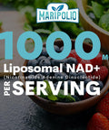Liposomal Nad+ Supplement 1000 Mg Highest Nad Pontecy Max Absorption Pure Nad Supplement Energy And Dna Repair, Aging Defense, Brain Function 120 Softgels