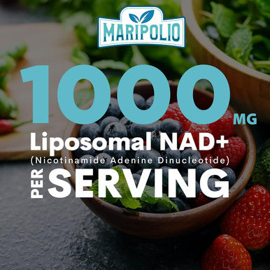 Liposomal Nad+ Supplement 1000 Mg Highest Nad Pontecy Max Absorption Pure Nad Supplement Energy And Dna Repair, Aging Defense, Brain Function 120 Softgels