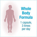 Natural Factors Ultimate Probiotic 24/12 Formula Supplement to Support Digestive Immune Health 24 Billion CFU 60 capsules 60 servings