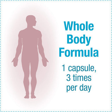 Natural Factors Ultimate Probiotic 24/12 Formula Supplement to Support Digestive Immune Health 24 Billion CFU 60 capsules 60 servings