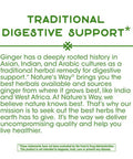 Nature's Way Premium Herbal Ginger Root, 1,100 mg per serving, 100 VCaps