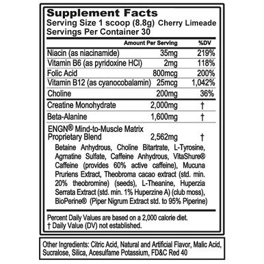 EVL Intense Pre Workout with Creatine - Pre Workout Powder Drink for Lasting Energy Focus and Recovery - ENGN Energizing Pre Workout for Men with Beta Alanine and L Theanine - Cherry Limeade