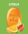 HALLS Defense Assorted Citrus Sugar Free Vitamin C Drops Dietary Supplement Drops 12 Bags of 25 Drops 300 Total Drops