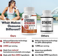 Osasuna Liposomal Astaxanthin Supplement 24Mg 60 Softgels