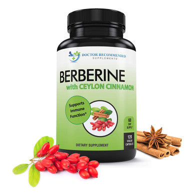 Berberine with Ceylon Cinnamon 1200mg Berberine 100mg Organic Ceylon Cinnamon 120 Veggie Capsules Healthy Immune System Cardiovascular Heart Gastrointestinal Wellness