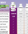 Liver Cleanse Detox & Repair, Organic Milk Thistle 12000 Mg 120 Day Support Supplement, 30X Seed Extract with Silymarin Pills, MD Pure Herbal Kidney Lung Health Fast Active Aid Formula 120 Capsules