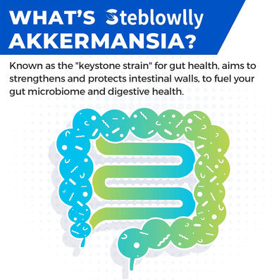 Akkermansia Probiotic, Akkermansia Muciniphila, Glp-1, Live Strain Probiotics For Women & Men, Glp-1 Supplement For Gut Health, Digestive, Metabolic, Immune, With Chromium, Green Tea Leaf, 60 Capsule