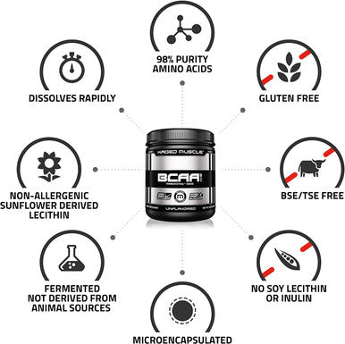 KAGED MUSCLE Fermented BCAA Powder Plant Based Non-GMO Supports Protein Synthesis Vegan Friendly Branched Chain Amino Acids Aminos BCAAs Unflavored 72 Servings 14.1 Ounce