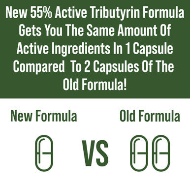 Corebiome Tributyrin Postbiotic Supplement Clinically Tested For Gut Health. More Effective Than Sodium Butyrate Capsules. High