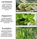 Peppermint Eucalyptus Lemongrass Essential Oil - 100% Pure Peppermint Eucalyptus Lemongrass Organic Aromatherapy Oil 10mL/0.33oz