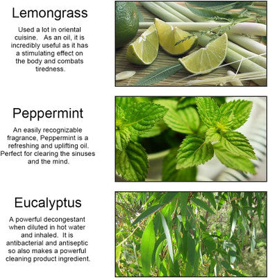 Peppermint Eucalyptus Lemongrass Essential Oil - 100% Pure Peppermint Eucalyptus Lemongrass Organic Aromatherapy Oil 10mL/0.33oz