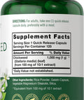 Carlyle Chickweed Capsules | 1,000Mg | 120 Count | Non-Gmo, Gluten Free Extract | Herbal Supplement