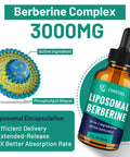 owegel Berberine HCL Supplement with Ceylon Cinnamon - Highly Absorbable Liposomal Berberine Liquid Drops 3000mg- 12 in 1 Natural Ingredients - AMPK Activator - 2 Fl Oz