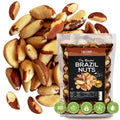 Premium Wild Harvested Raw Brazil Nuts, 1 lb (16oz) ÃƒÂ¢Ã¢â€šÂ¬Ã¢â‚¬Å“ High Selenium, Batch Tested Peanut & Gluten Free, Non-GMO, Kosher, Resealable Bag