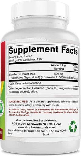 Best Naturals Elderberry Sambucus Nigra 5000mg Equivalent 120 Veg Capsules