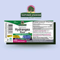 Nature'S Answer Hydrangea Root Extract Supplement with Organic Alcohol 1-Fluid Ounce | Promotes Kidney Health | Urinary Tract Support