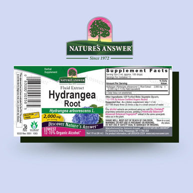 Nature'S Answer Hydrangea Root Extract Supplement with Organic Alcohol 1-Fluid Ounce | Promotes Kidney Health | Urinary Tract Support