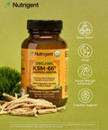 Nutrigent Usda Organic Ksm-66 Ashwagandha 600Mg With Organic L-Theanine Turmeric & Black Pepper Supports Calm Focus Relaxation & Overall Well-Being 60 Capsules