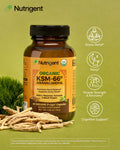 Nutrigent Usda Organic Ksm-66 Ashwagandha 600Mg With Organic L-Theanine Turmeric & Black Pepper Supports Calm Focus Relaxation & Overall Well-Being 60 Capsules