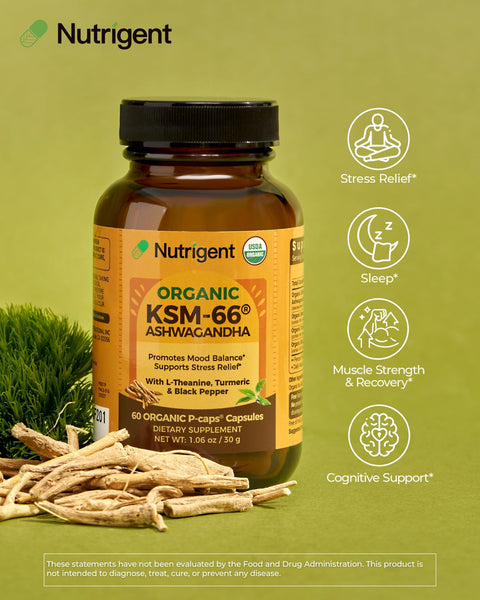 Nutrigent Usda Organic Ksm-66 Ashwagandha 600Mg With Organic L-Theanine Turmeric & Black Pepper Supports Calm Focus Relaxation & Overall Well-Being 60 Capsules