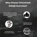 Pure Himalayan Shilajit Resin Potency Gummies Supplement For Men & Women 1000Mg Sugar 85+ Trace Minerals Immumity, Energy, Vitality & Brain Natural Raspberry Flavor (60 Count)
