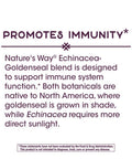 Nature'S Way Premium Blend Ecea Goldenseal 900 Mg Per Serving 100 Vcaps