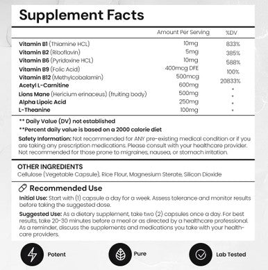 Aceworkz Elite Brain - Nootropic Brain Supplement For Focus, Memory, & Mental Clarity - Alcar, Lions Mane, Ala, L-Theanine, Vitamin B Complex - Natural Energy, Caffeine-(60 Capsules)