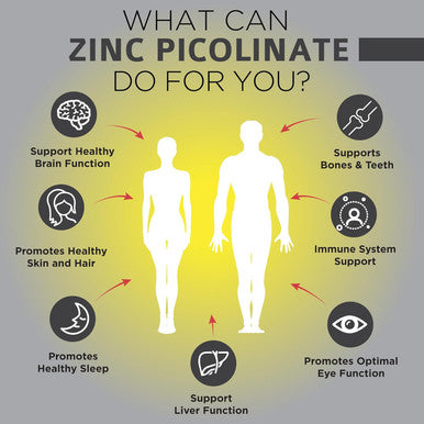 Zinc Picolinate 30Mg Supplement By Omnibiotics - Zinc 30 Mg For Immune System Support, Zinc Supplements For Men & Women - Superior Absorption Zinc Vitamins, Promotes Healthy Skin - 180 Vegan Capsules